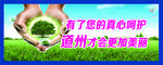 围墙文化