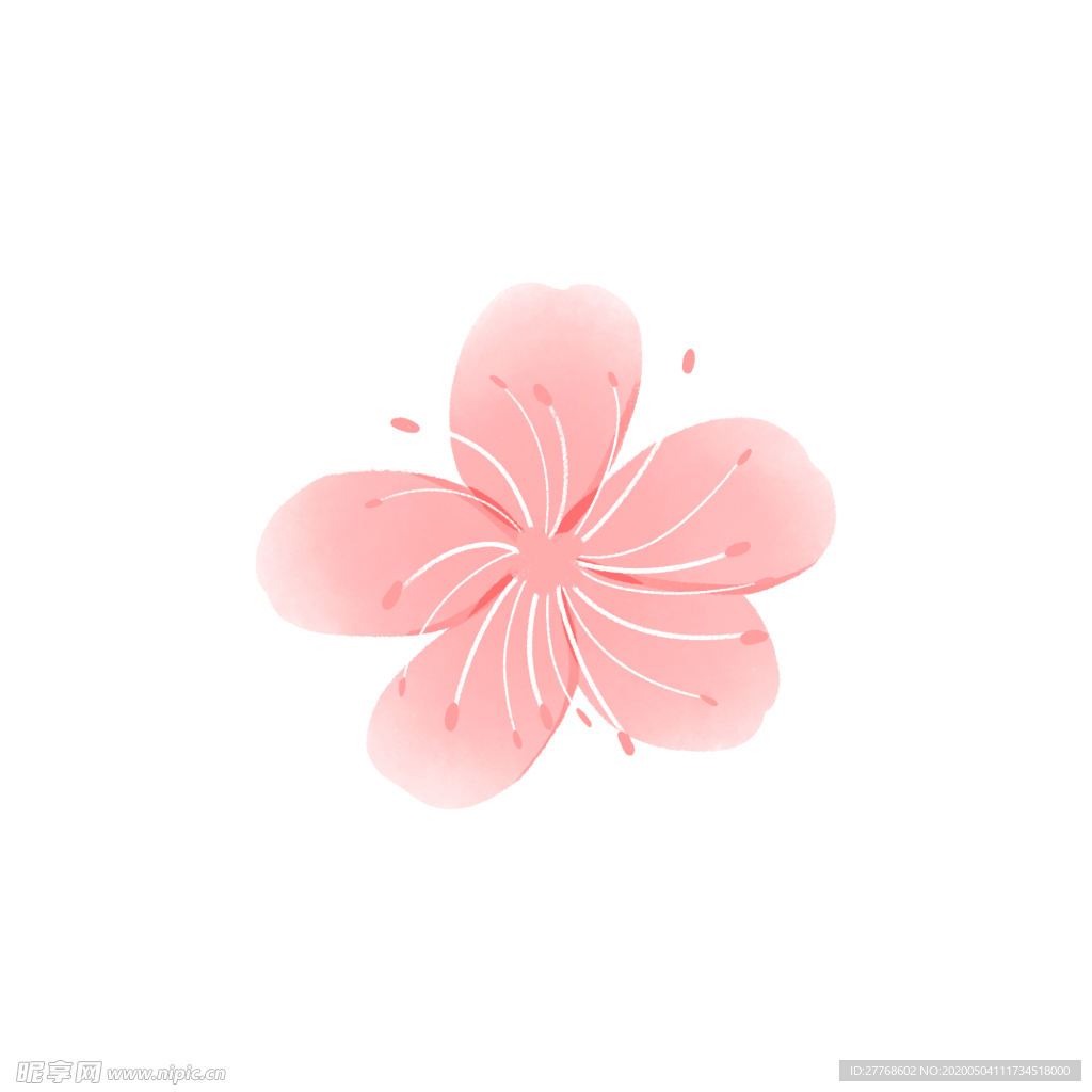 樱花