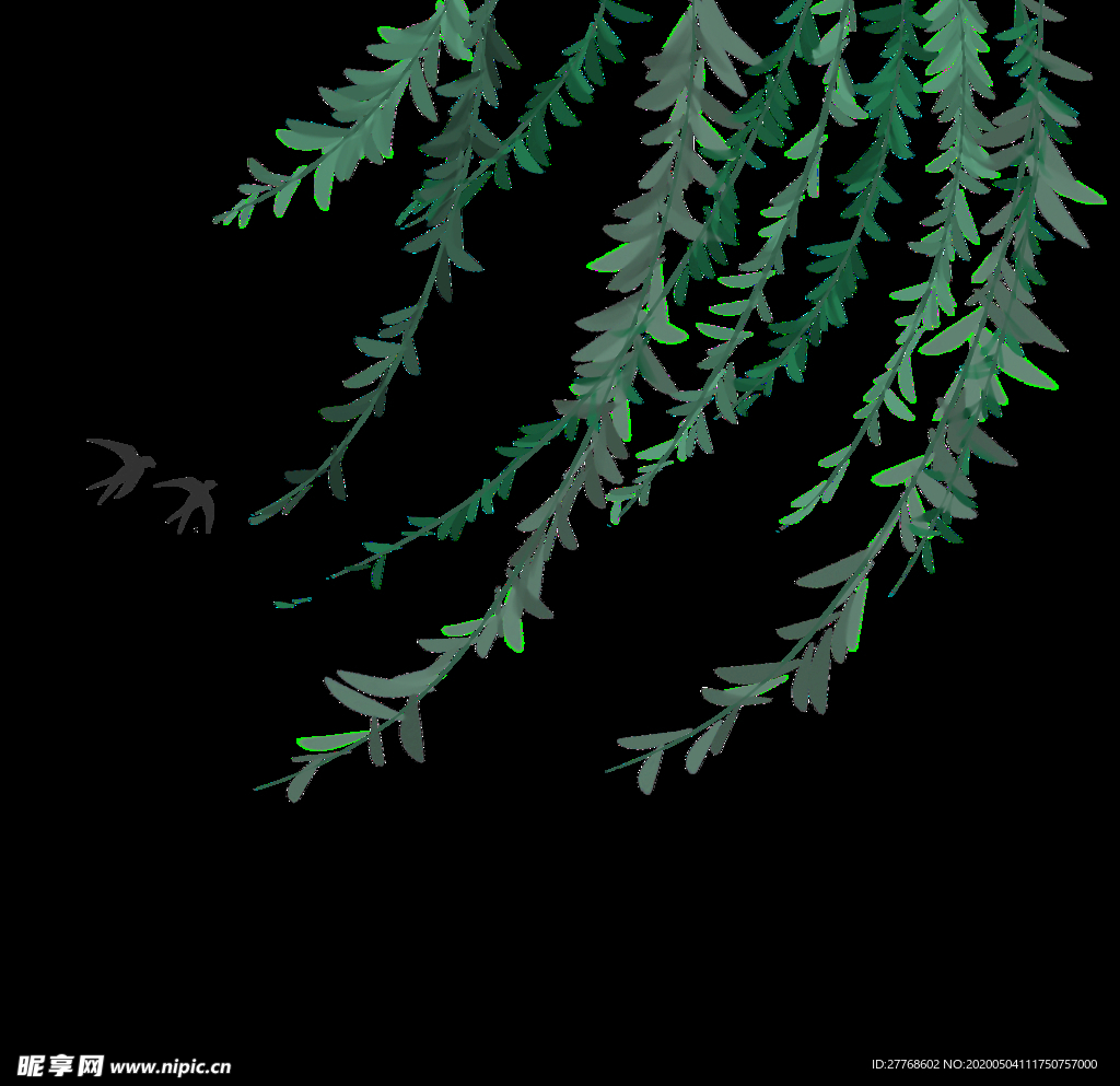 柳枝