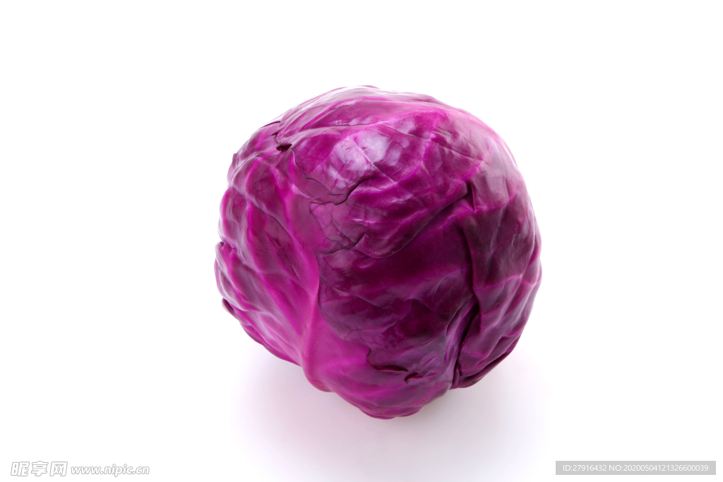 紫菜