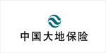中国大地保险