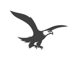 老鹰logo
