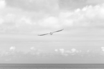 灰色天空