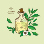 植物线稿