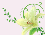 花
