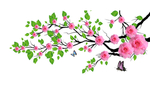 玫瑰花