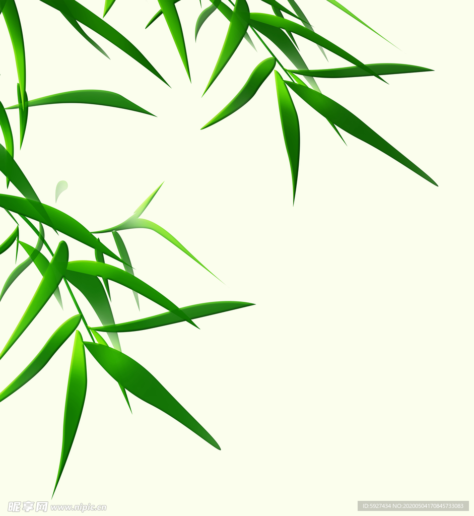 竹子