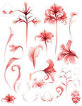 红色梦幻水彩花朵矢量