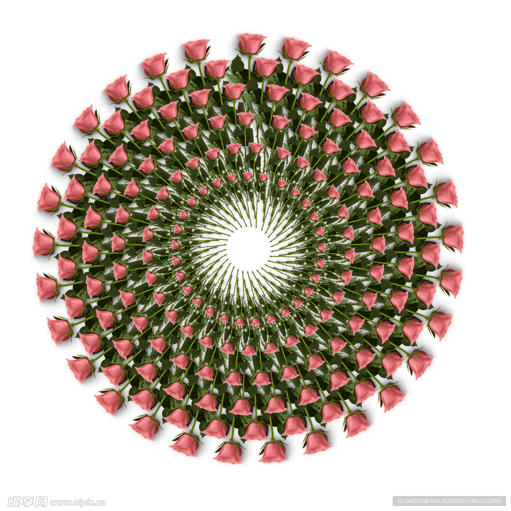 玫瑰花