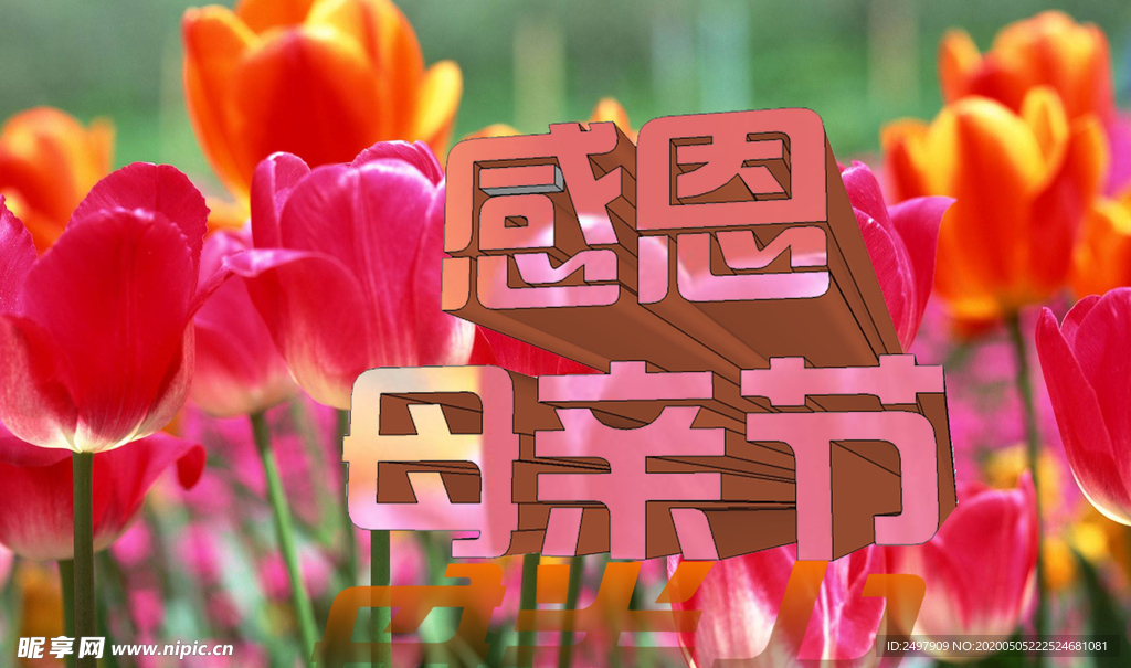 感恩母亲节