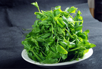 套豆尖