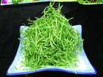 一品野菜