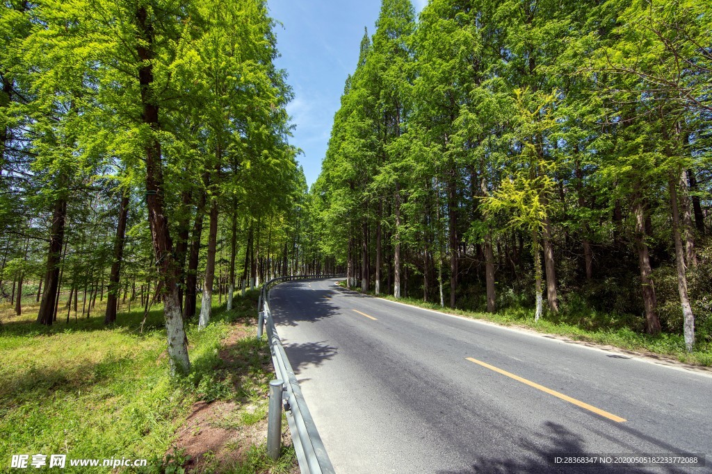 公路