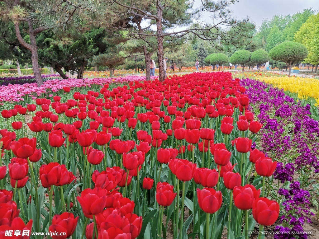 花