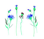 花枝