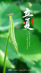 立夏节气海报