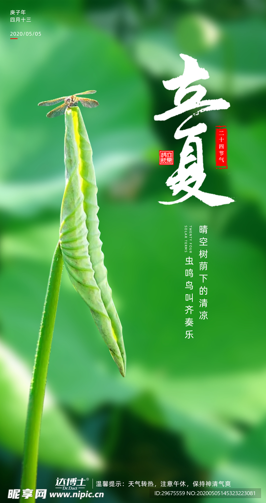 立夏节气海报