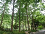 琅琊山