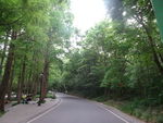 琅琊山