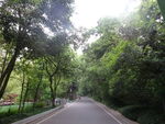 山林