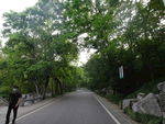 山林