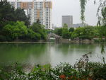 公园