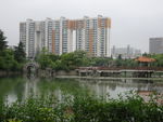 公园