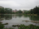 公园