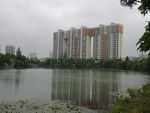 公园