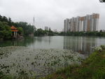 公园