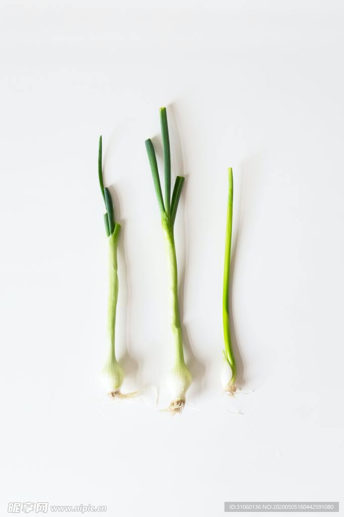 蔬菜