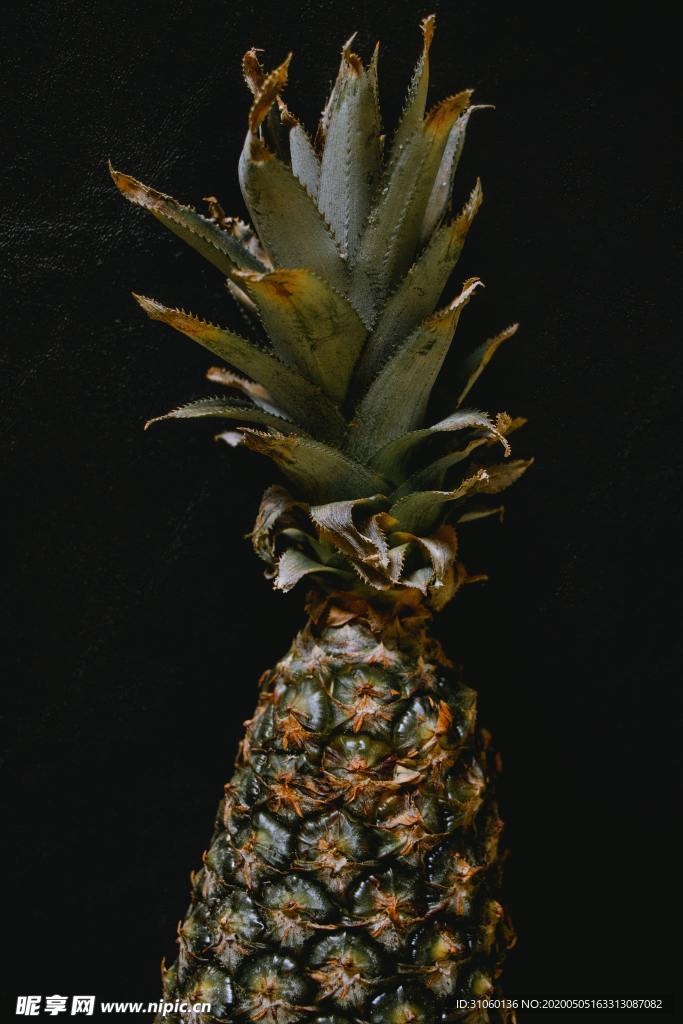 菠萝