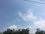 蓝天