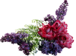 丁香花