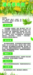 蒲公英展架