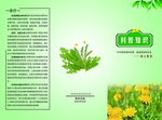 蒲公英三折页