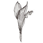 素描鲜花
