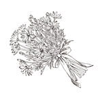 素描鲜花
