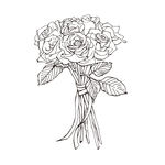 素描鲜花
