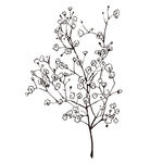 素描鲜花