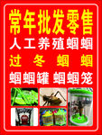蝈蝈 蝈蝈笼
