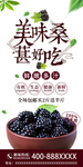 桑葚
