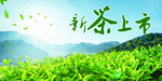 新茶上市