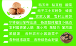 山珍名片