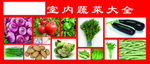 蔬菜