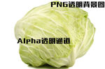 卷心菜