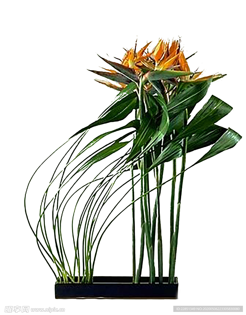 花艺