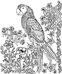 线条花纹图案设计