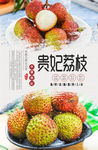 贵妃荔枝分层海报