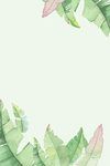 小清新背景